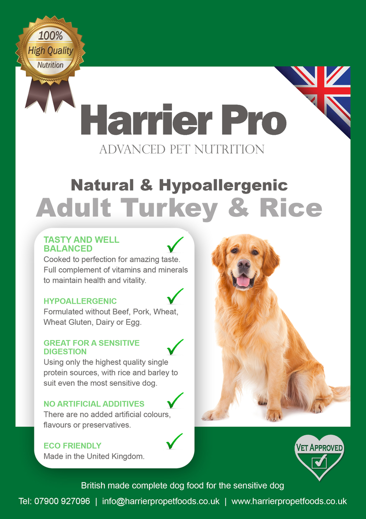 Natural nutrition best sale for dogs